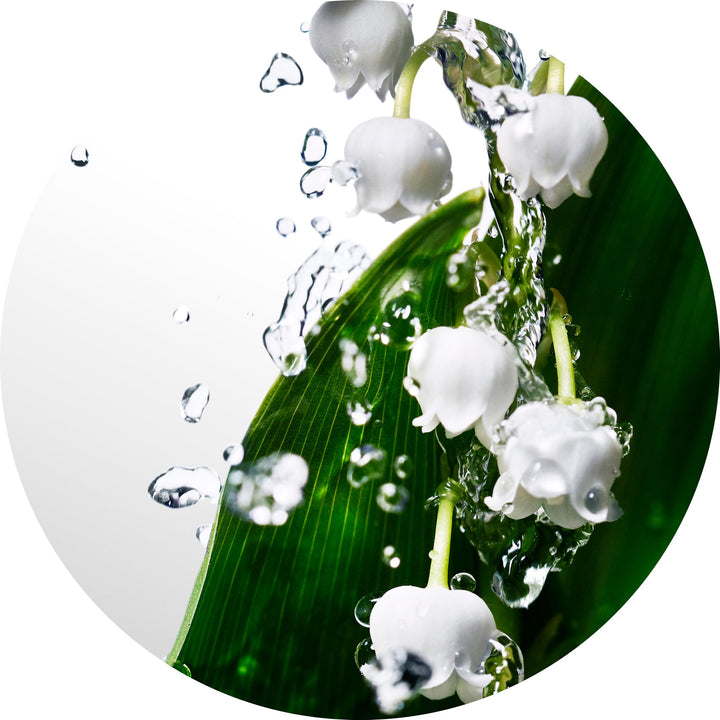 50 ml droplet-shaped bottle of aquatic floral Eau de Toilette for Women