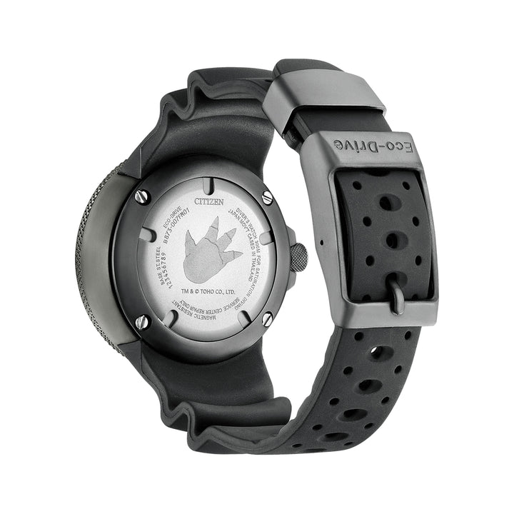 Eco-Drive Professional Diver's Precision